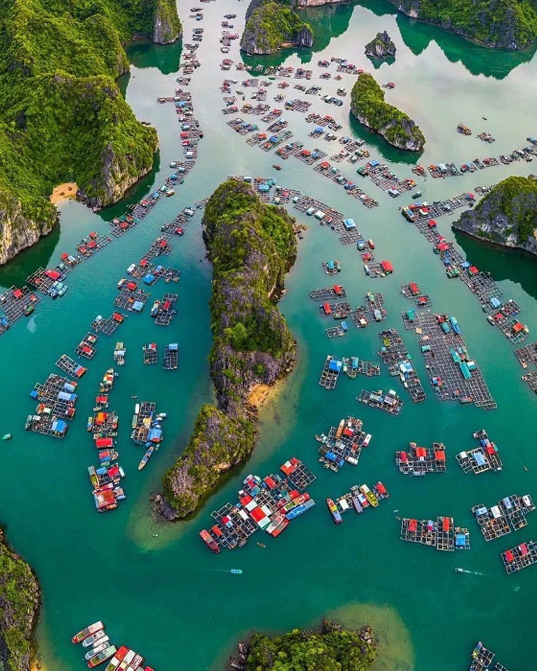 Cai Beo floating fishing village stilt houses boats Lan Ha Bay Cat Ba