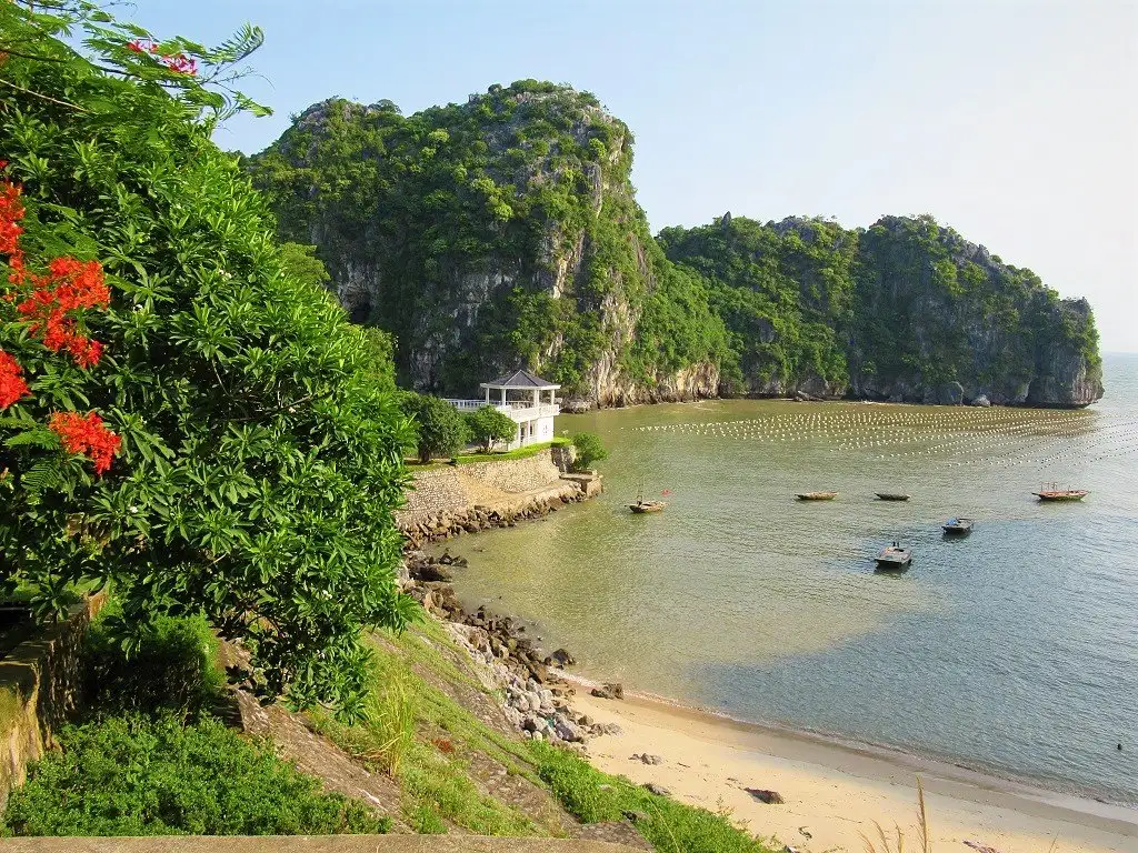 Cat Co Beach crescent cove cliffs Cat Ba Island Vietnam