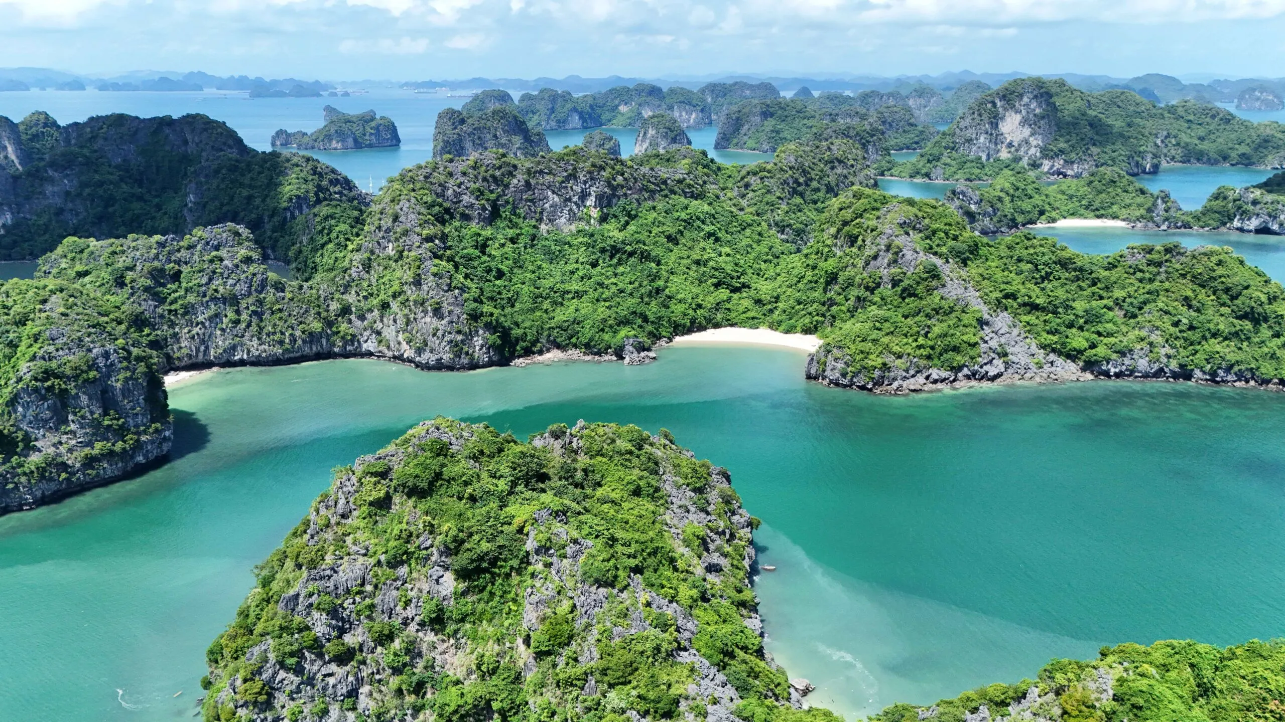 Pristine limestone karsts of Bai Tu Long Bay northeastern Vietnam
