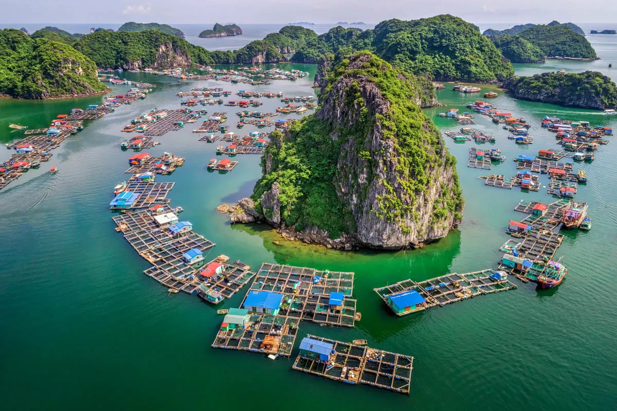 Cua Van floating fishing village Ha Long Bay