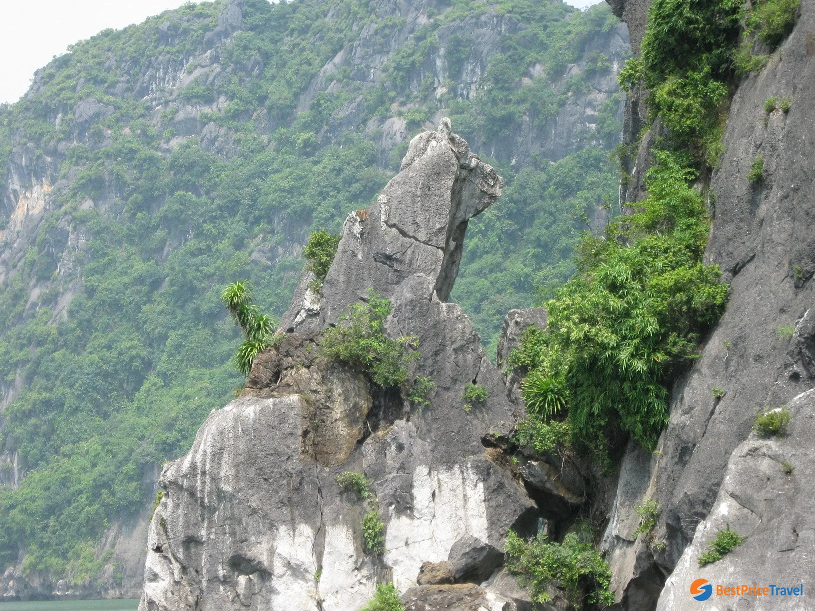 Hon Cho Da rock formation resembling a sitting dog Ha Long Bay