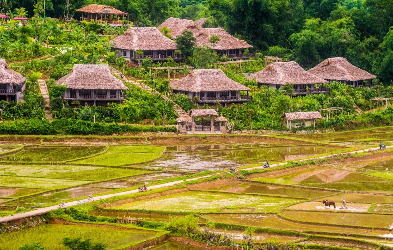 Pom Coong village White Thai community rice fields Mai Chau Vietnam