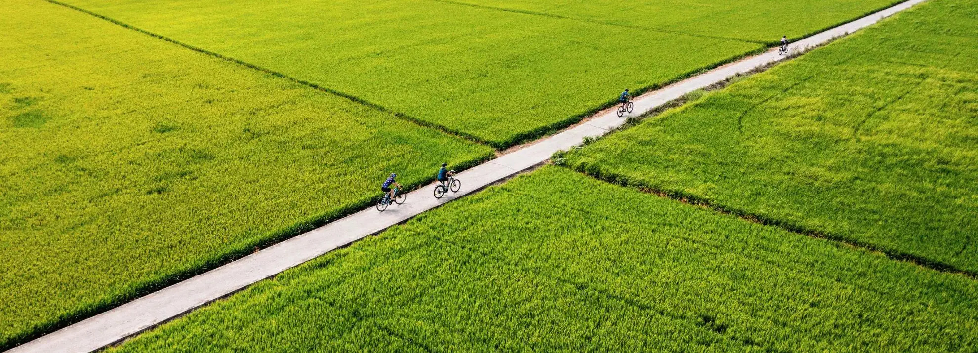 Cycling through rice paddies flat valley Mai Chau Vietnam