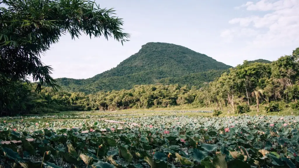 Hon Quap mountain Cat Tooth framing My Son valley Cham temples Vietnam