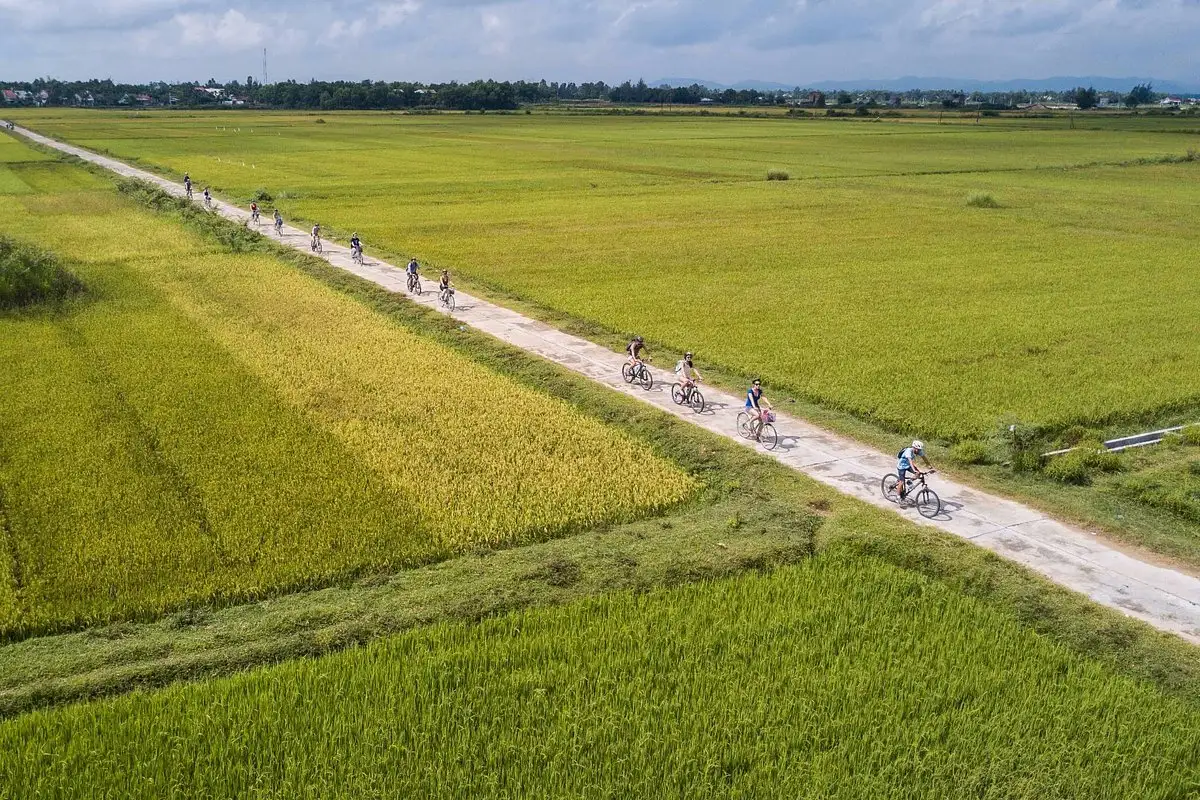 Cycling through rice paddies with karst peaks Ninh Binh Vietnam