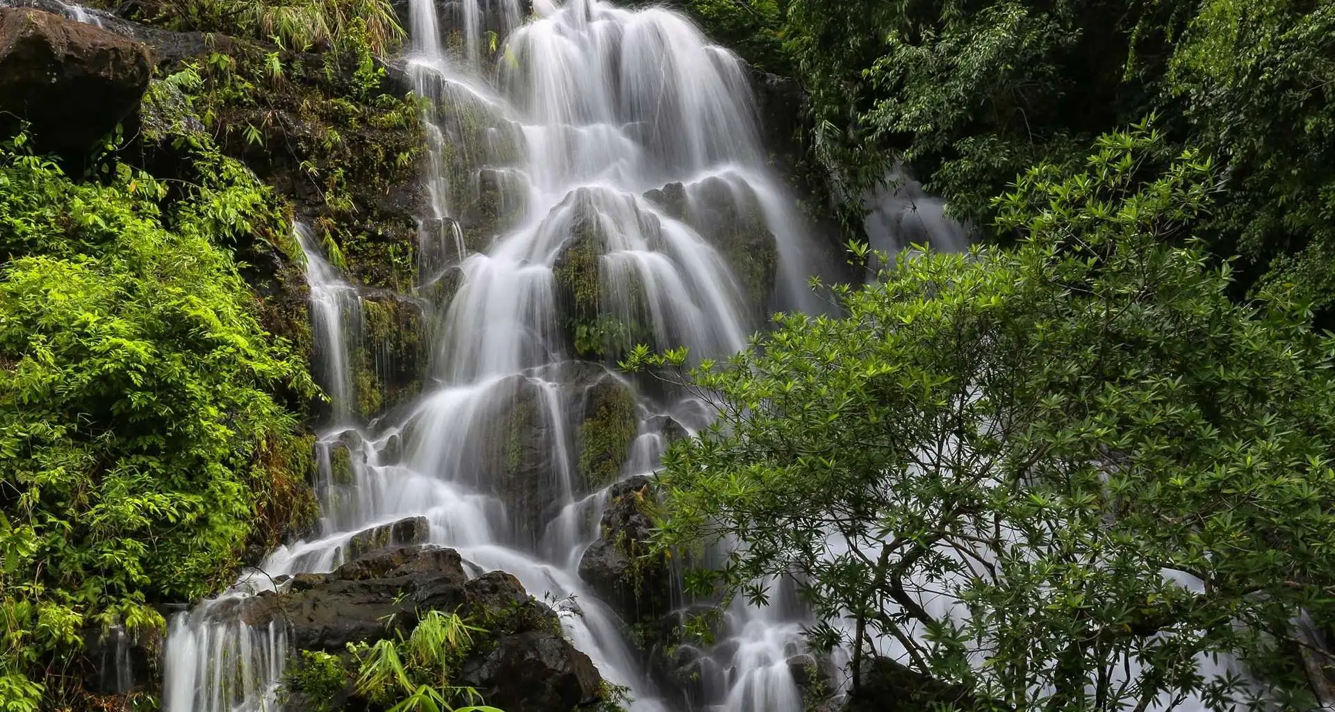 Phong Nha Botanic Garden wildlife rescue centre waterfall Vietnam