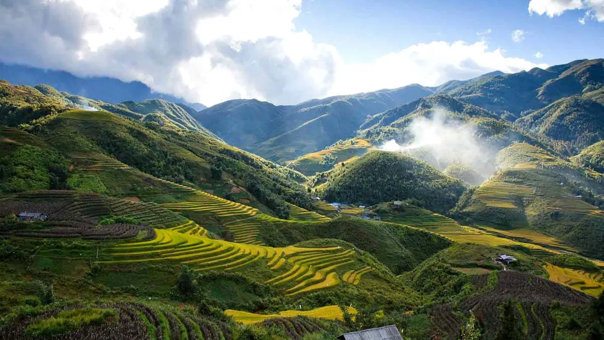 Muong Hoa Valley rice terraces and karst peaks Sapa Vietnam