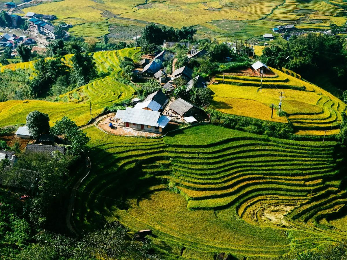 Ta Van Giay ethnic village homestay with rice terrace views Sapa Vietnam