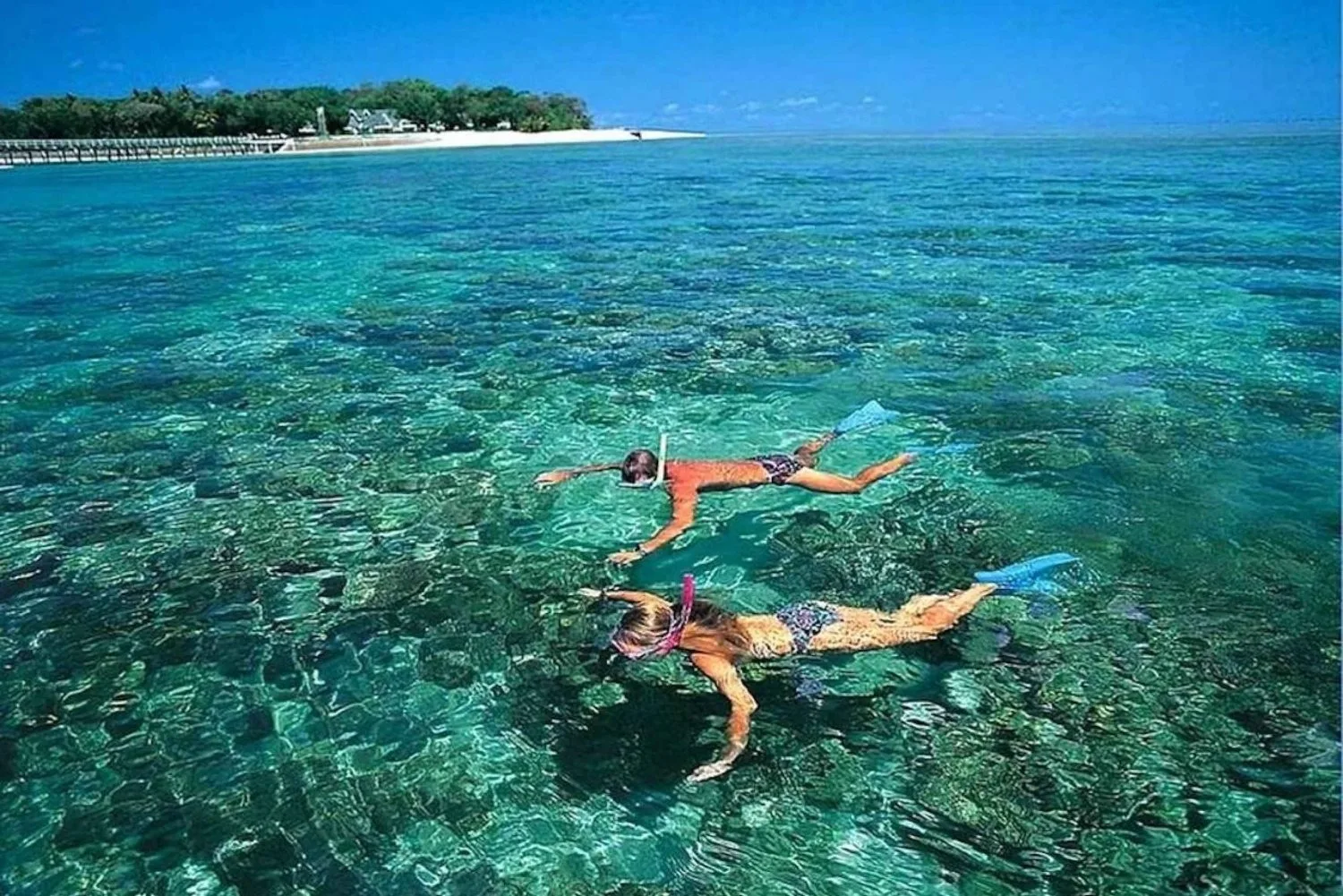 Cham Islands snorkeling